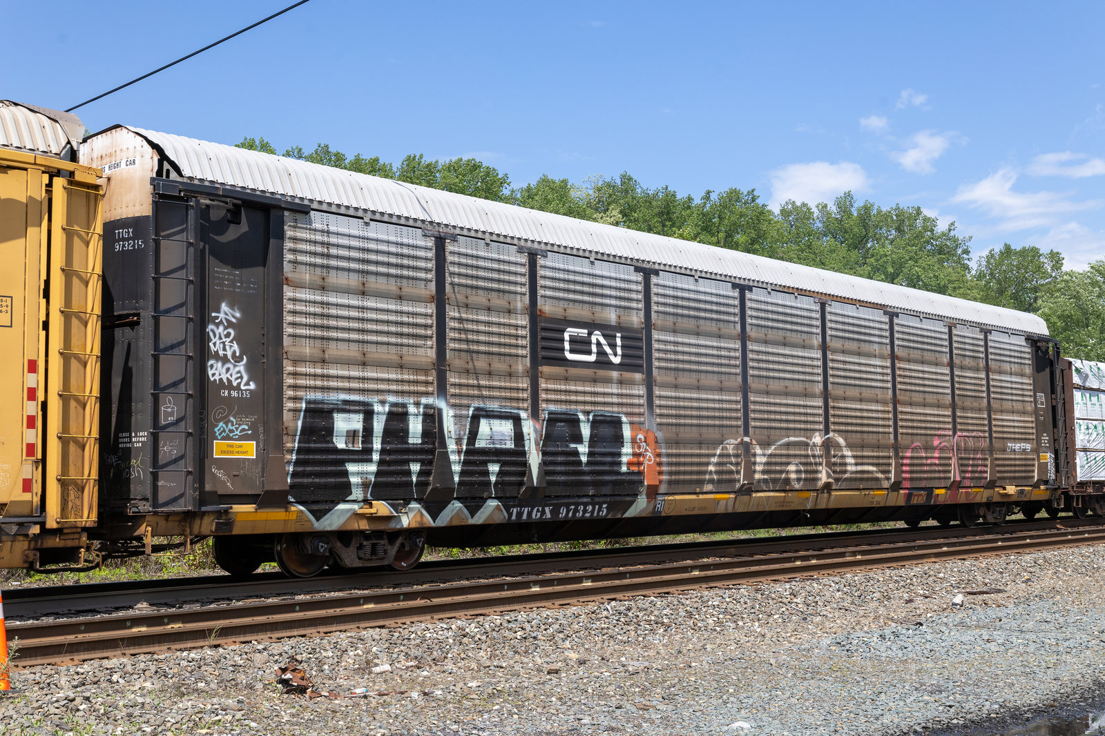 TTGX 973215