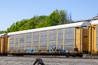 TTGX 255873