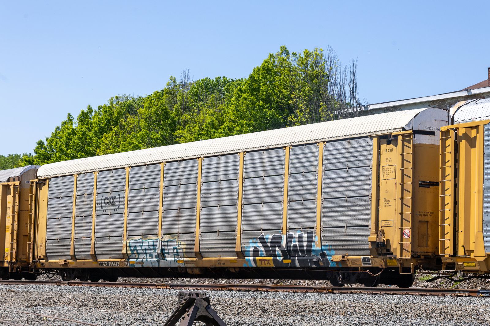 TTGX 255873