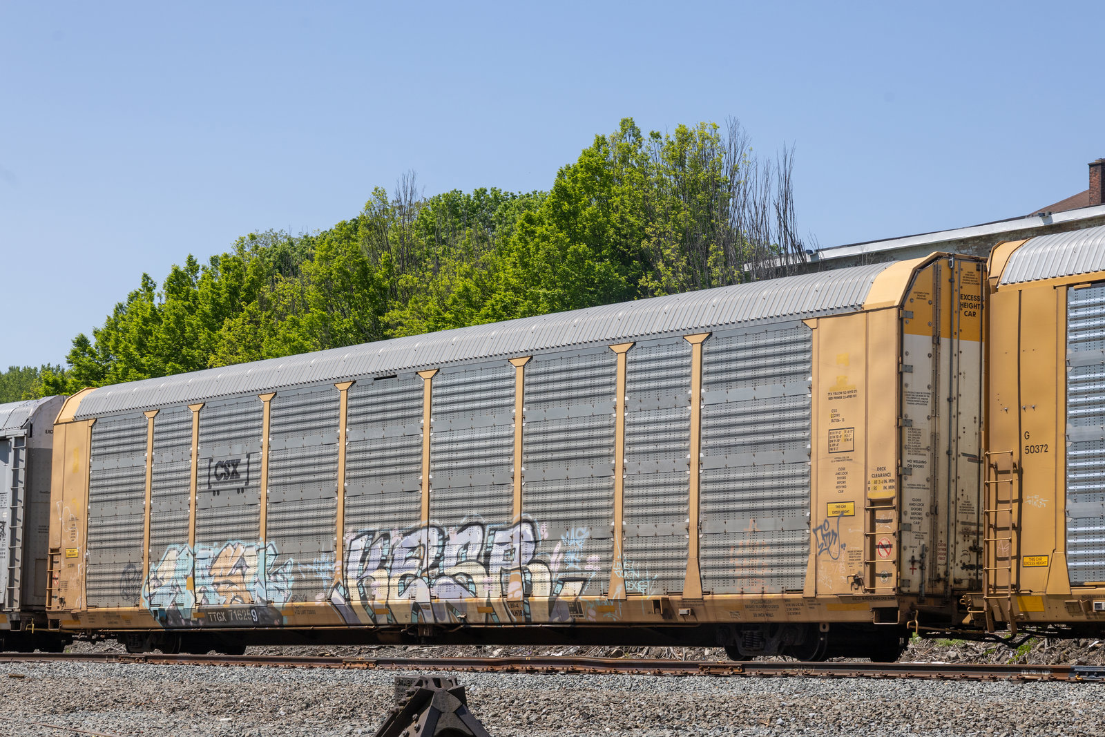 TTGX 716259