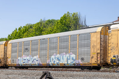 TTGX 716239