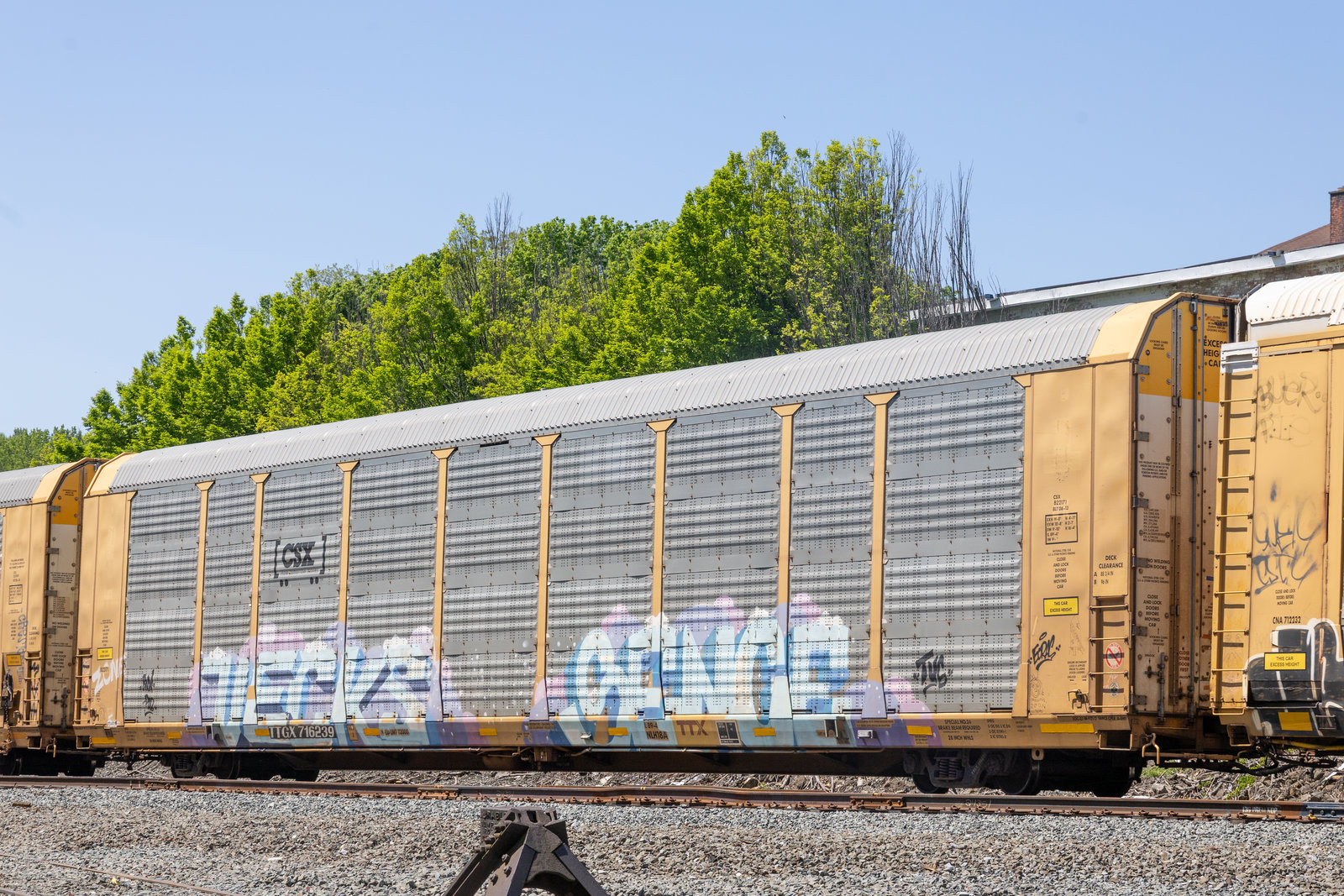 TTGX 716239