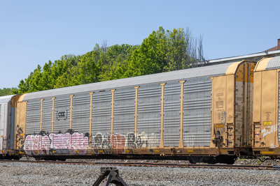 TTGX 716057
