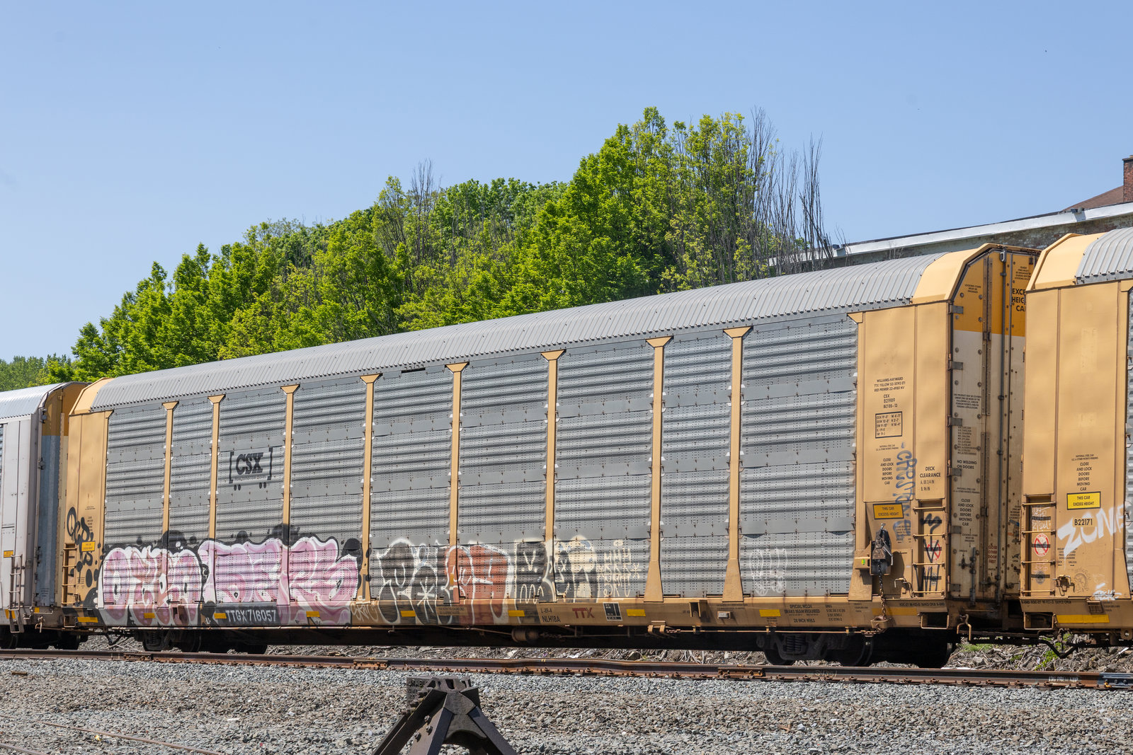 TTGX 716057
