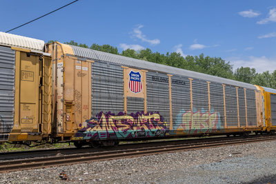 TTGX 715017