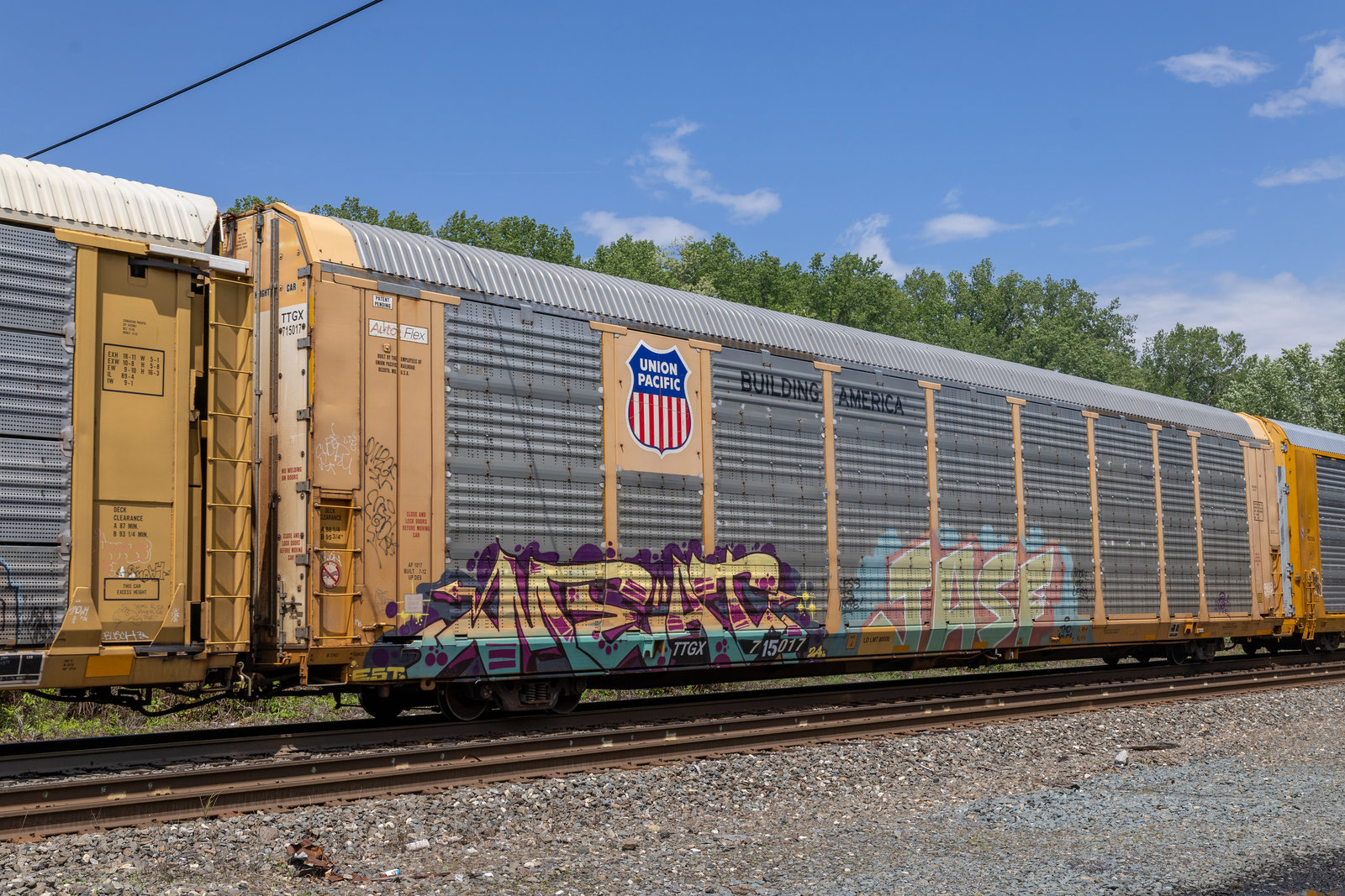 TTGX 715017