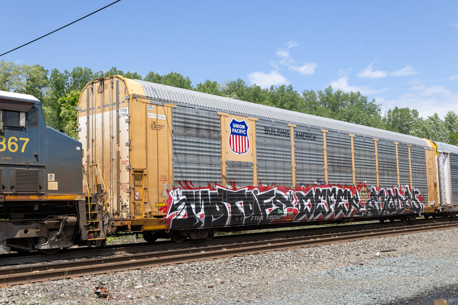 TTGX 715230