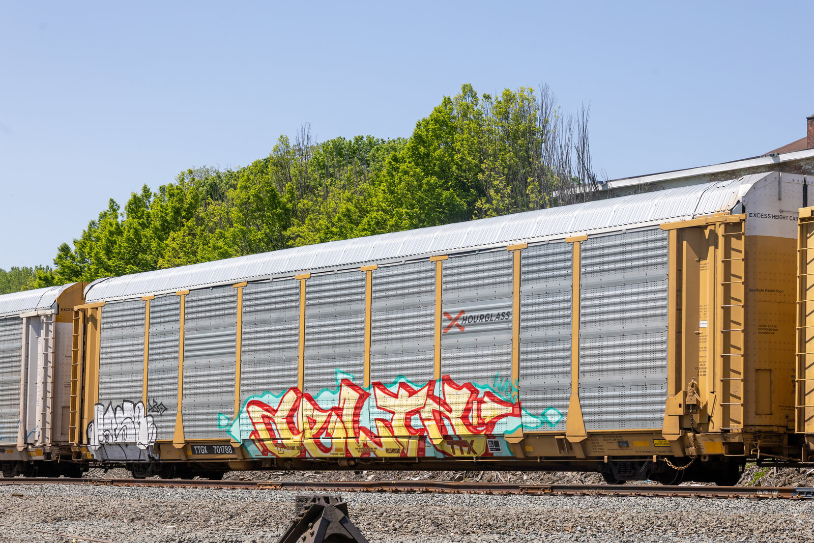TTGX 701788