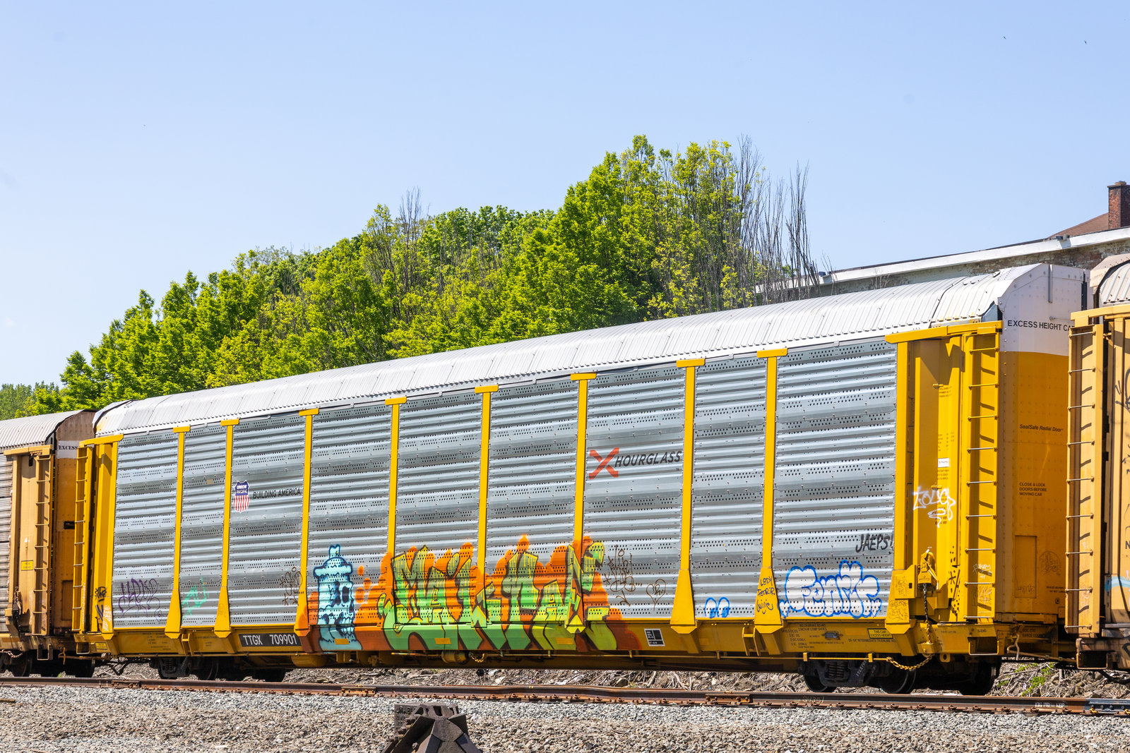 TTGX 709901
