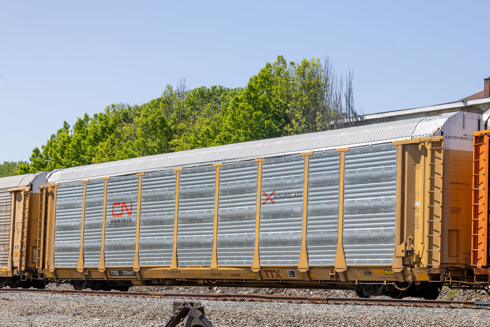 TTGX 709697