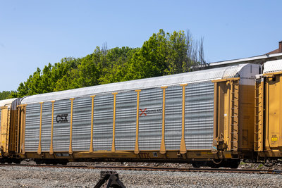 TTGX 709380