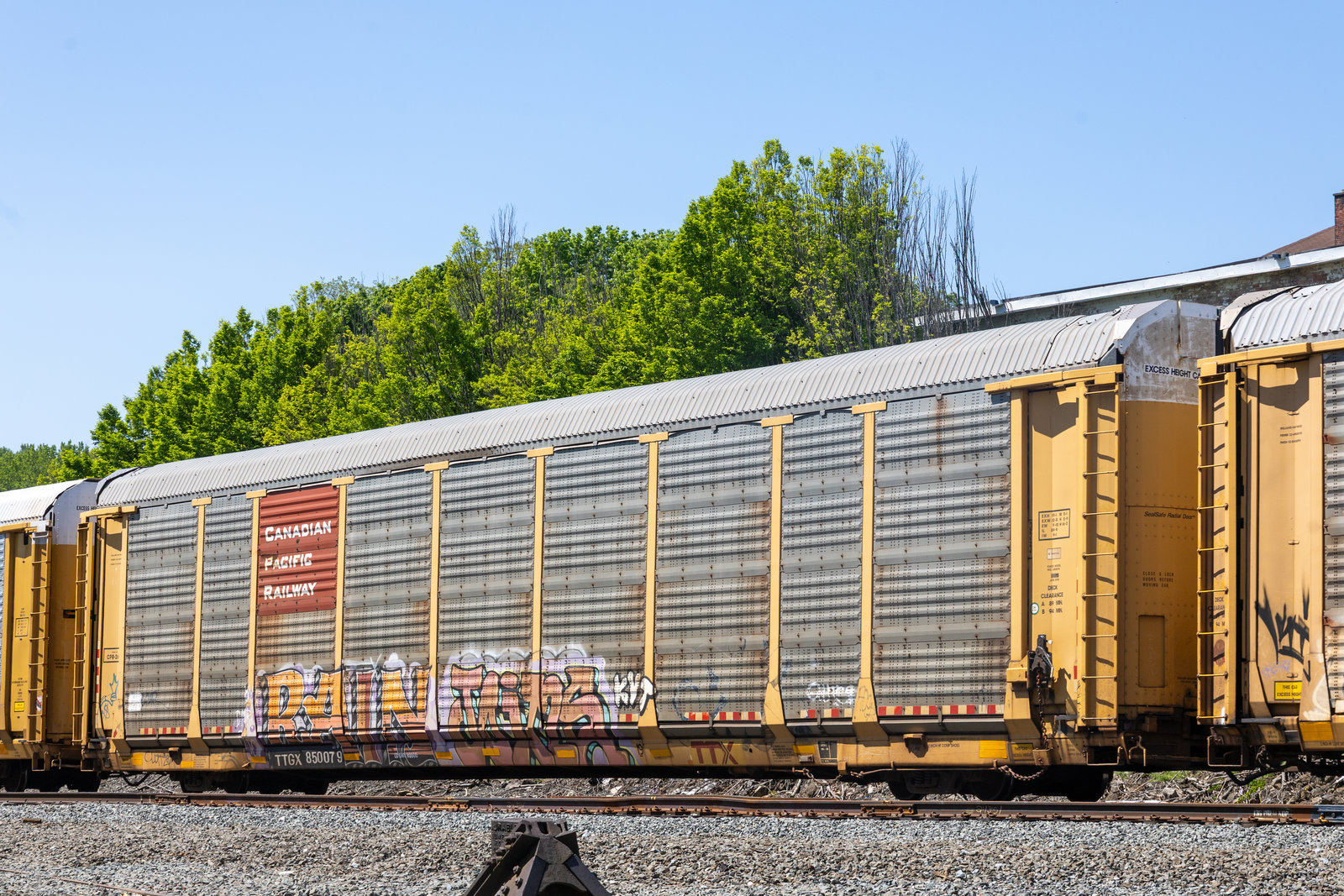 TTGX 850079