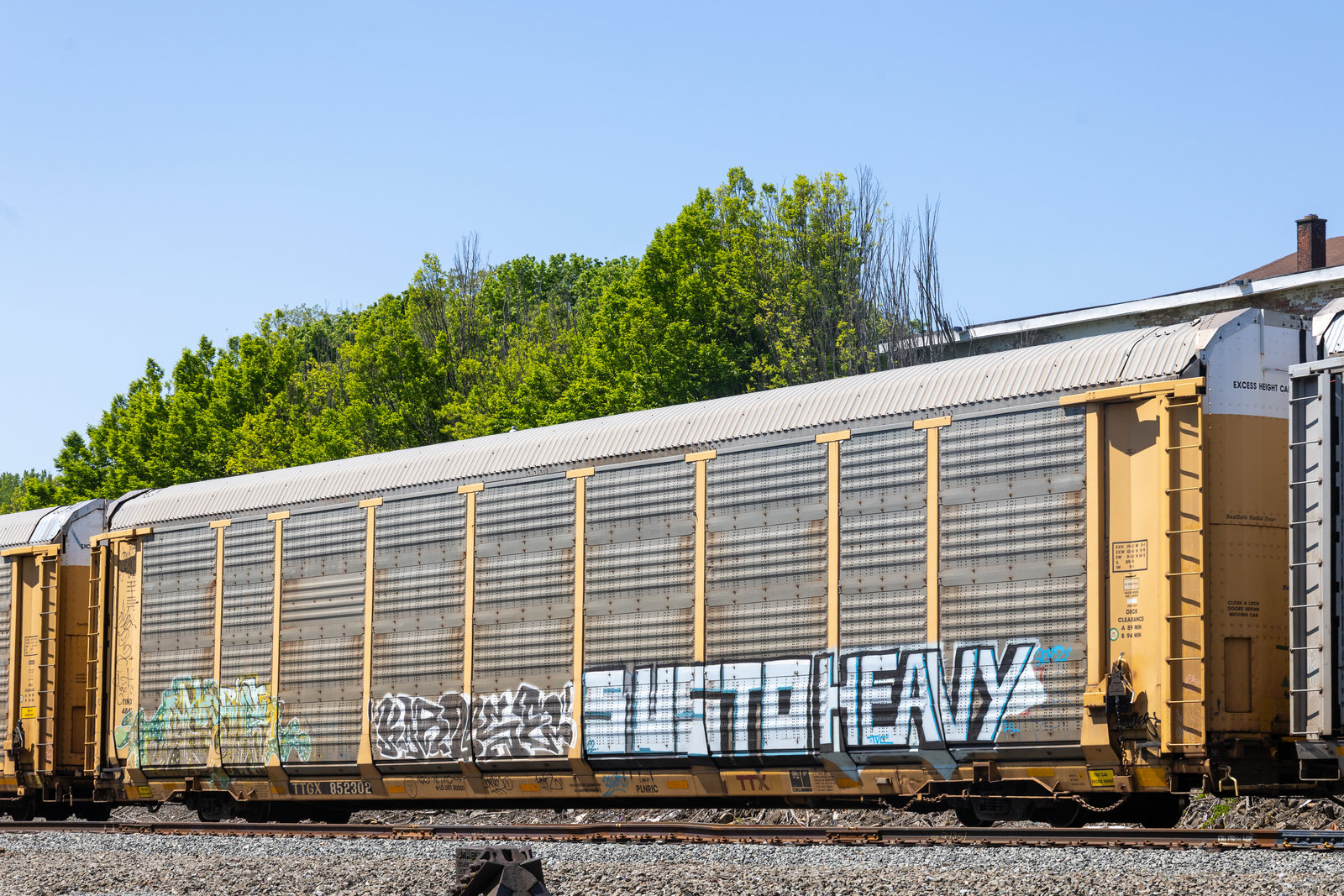 TTGX 852302