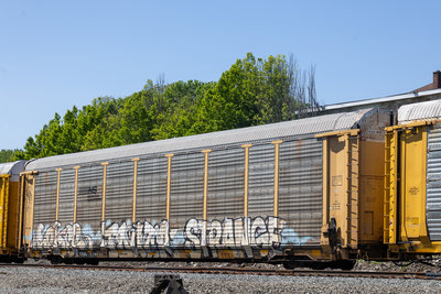 TTGX 700367