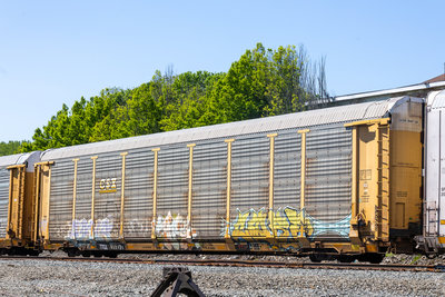 TTGX 853476