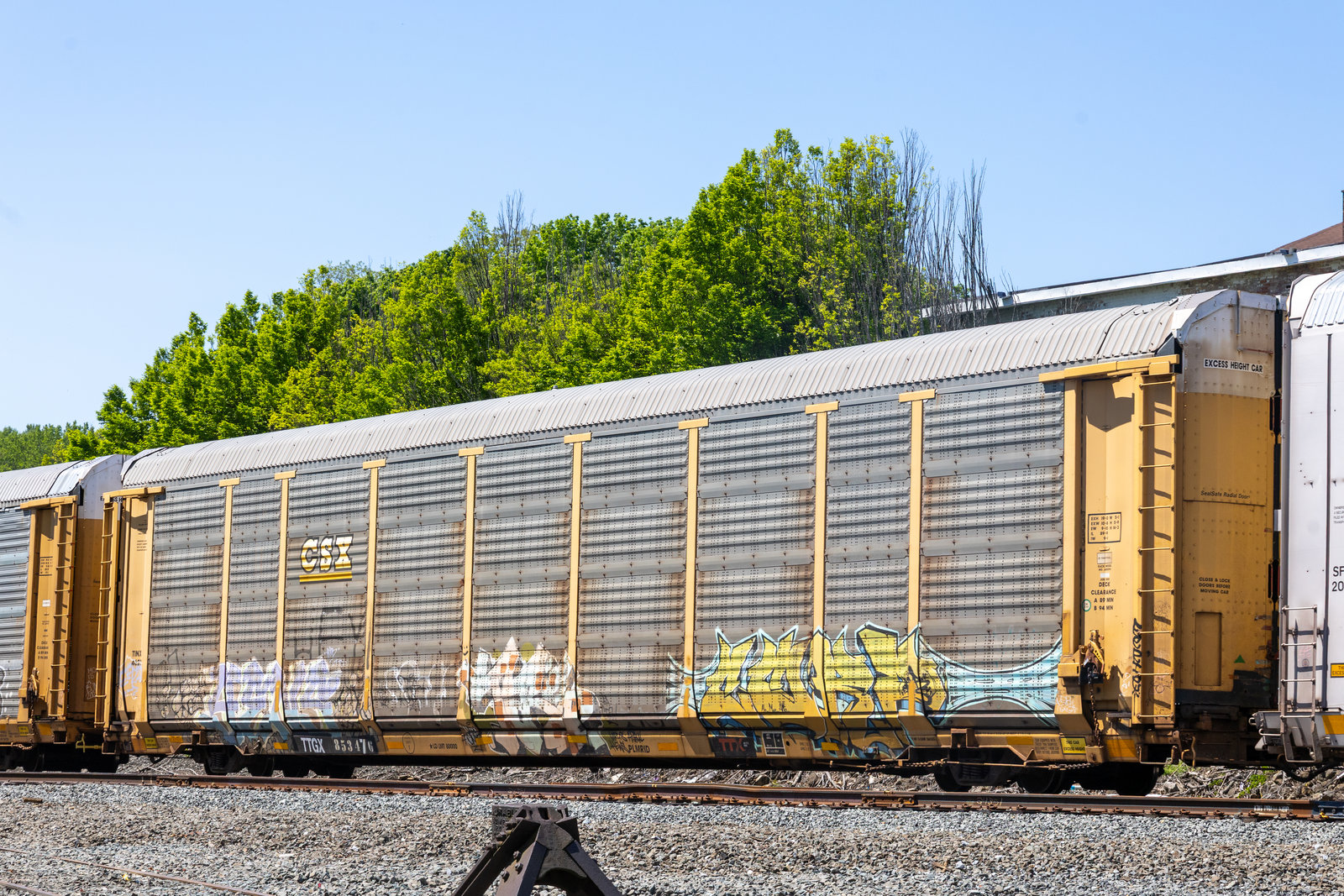 TTGX 853476