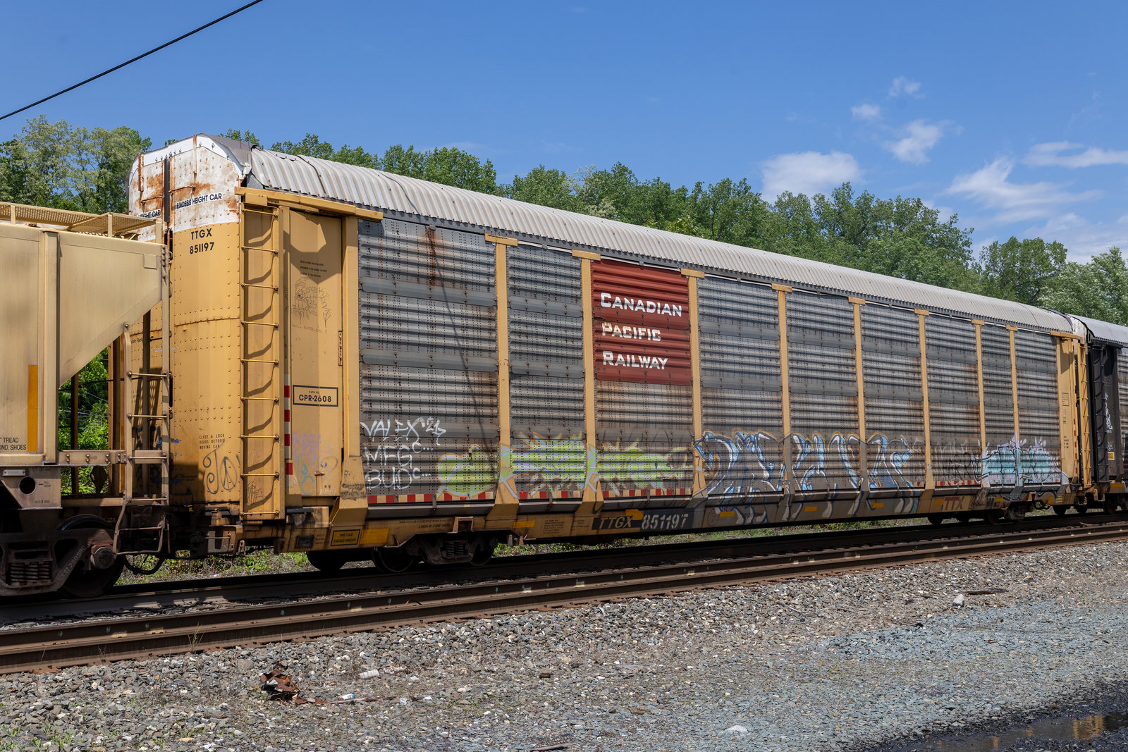 TTGX 851197