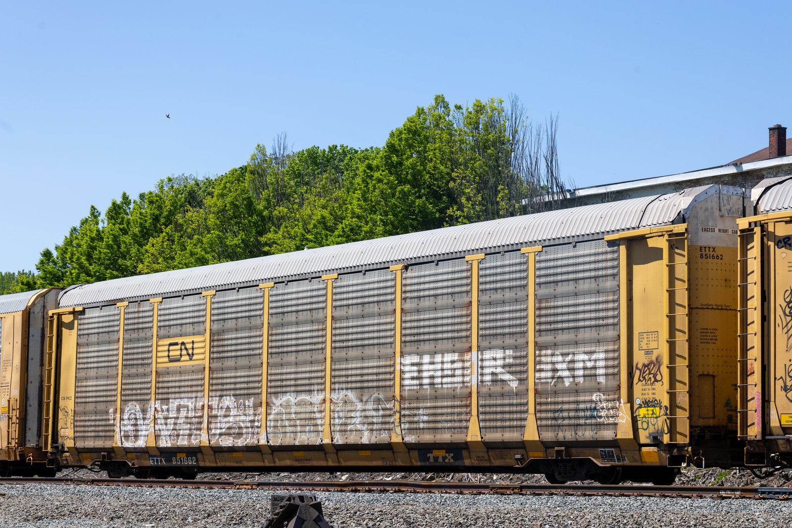 ETTX 851662