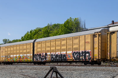 BTTX 880172