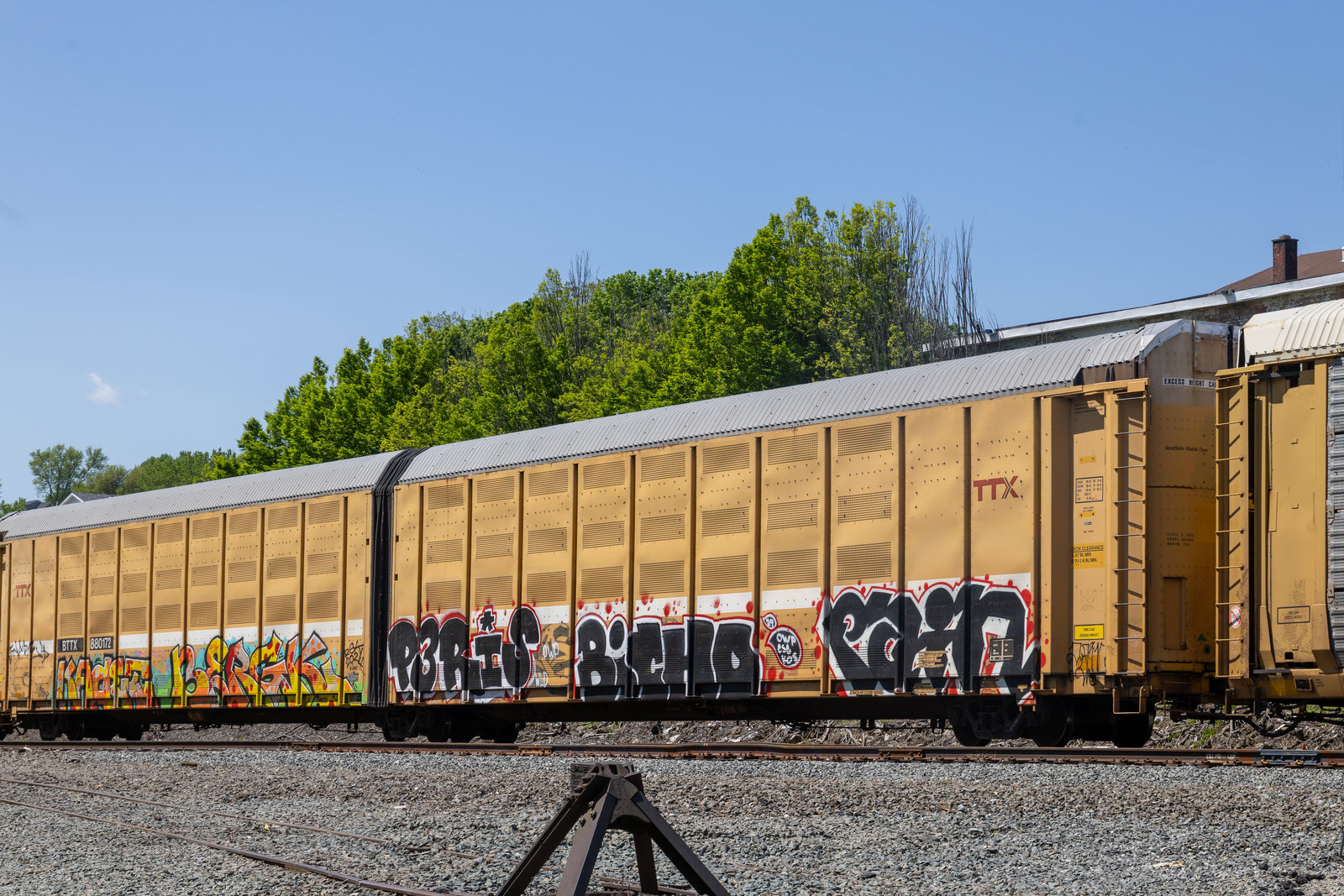 BTTX 880172