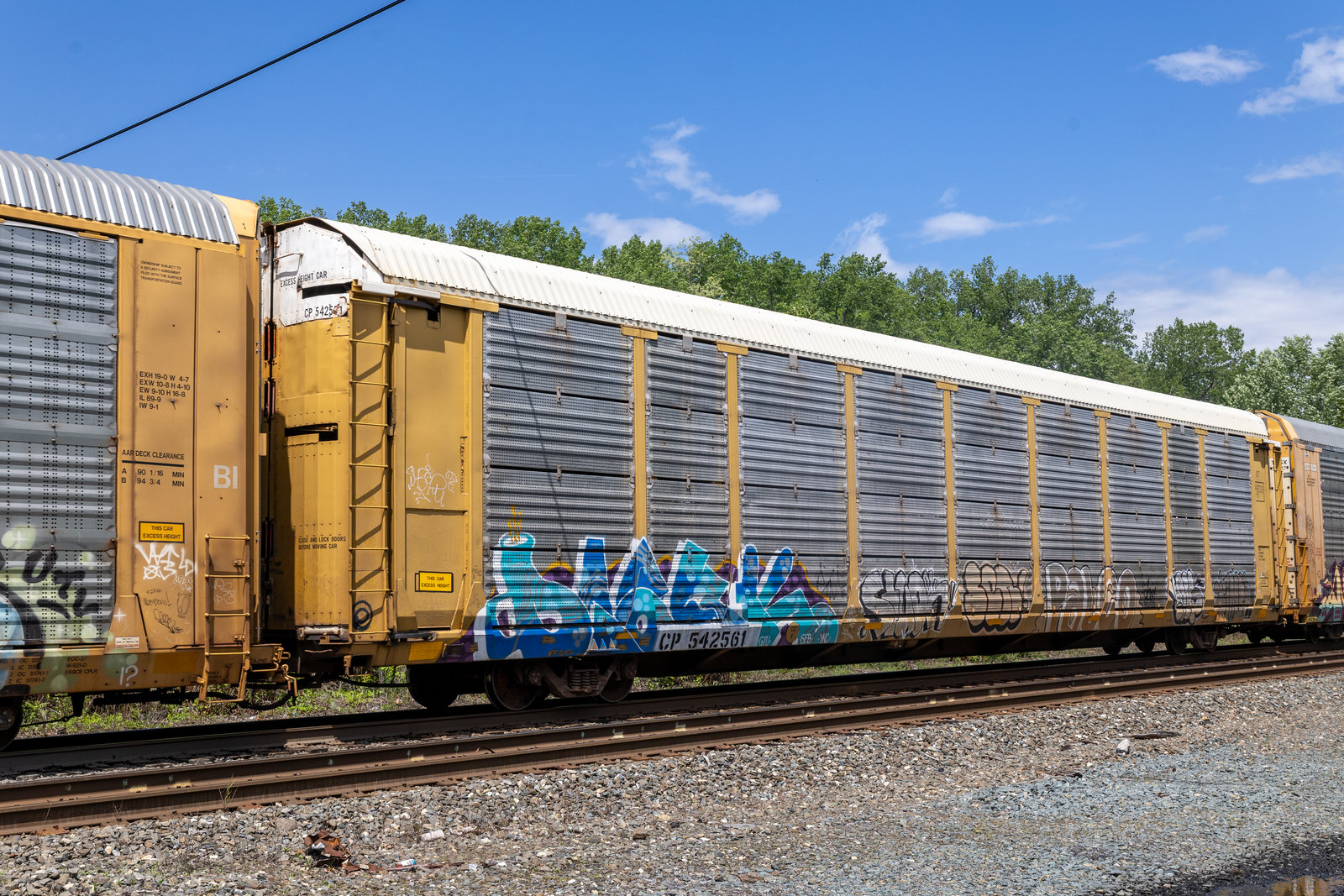 CP 542561