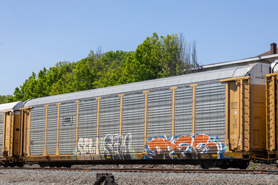 NKCR 7361