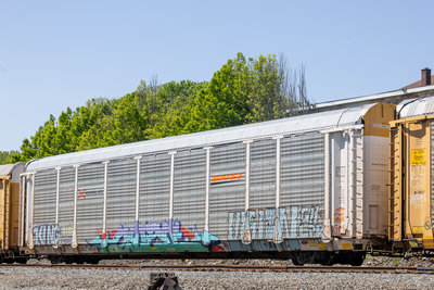 SFLC 300167