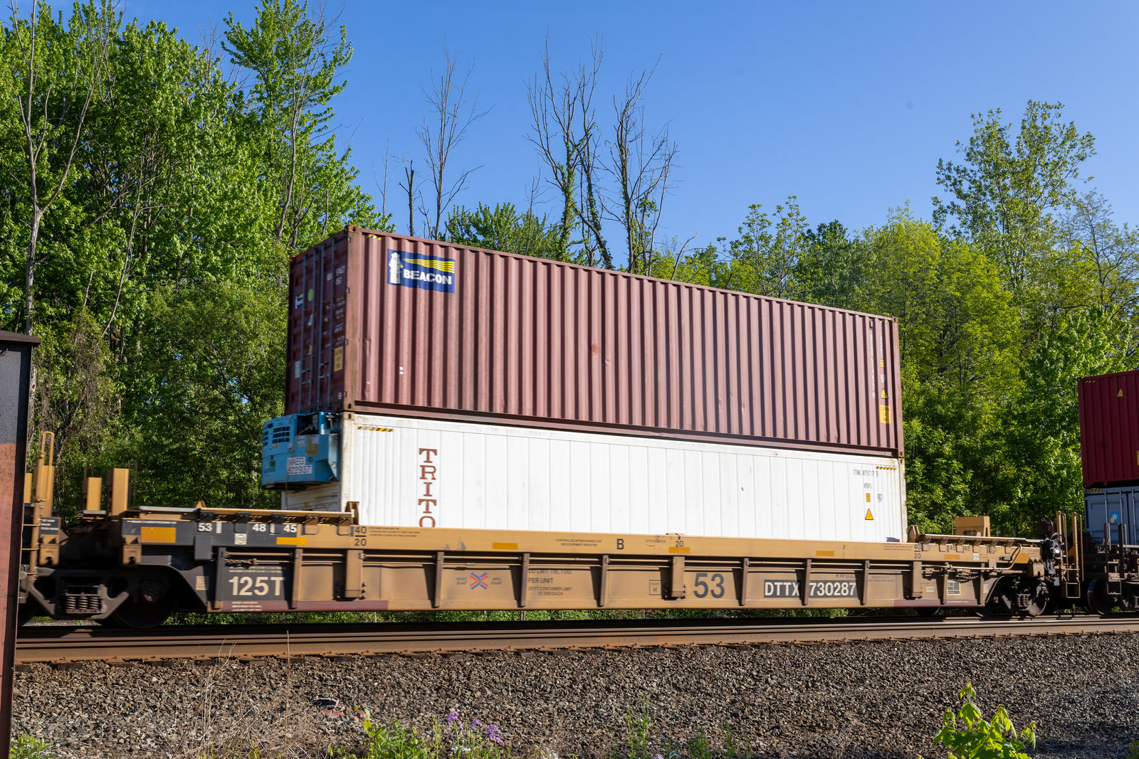 DTTX 730287B