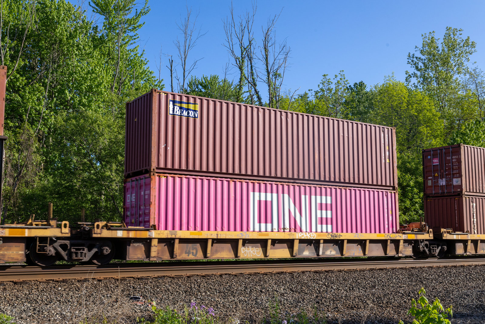 DTTX 62281D