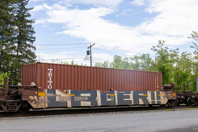 BNSF 238619A