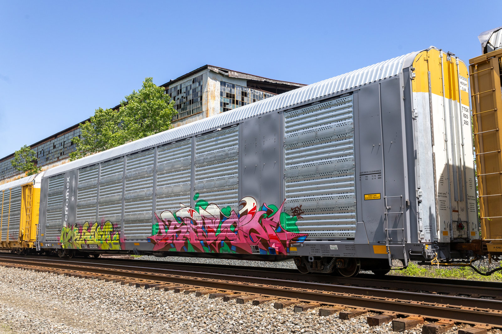 TTGX 825282