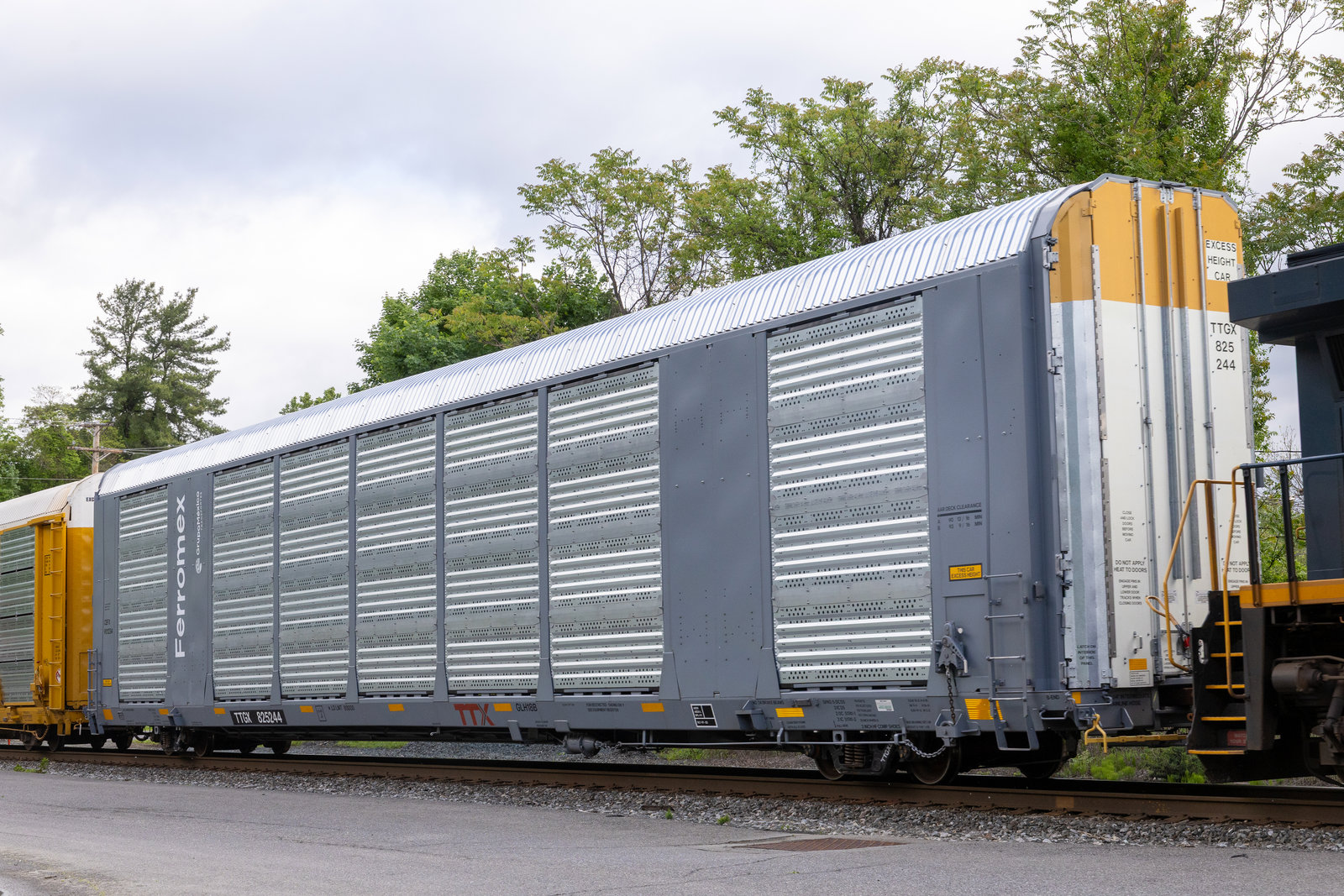 TTGX 825244