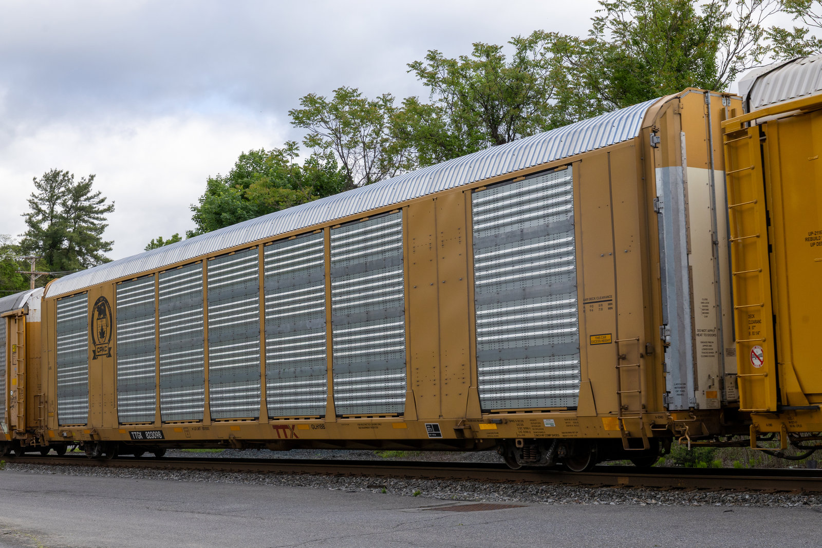 TTGX 823098