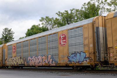 TTGX 696489