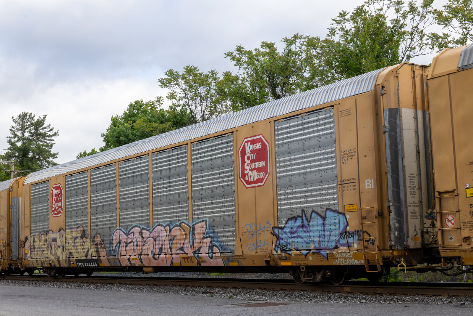TTGX 696489