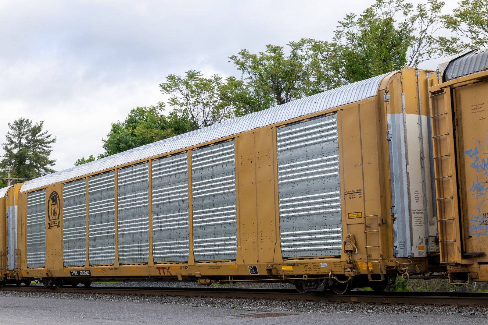 TTGX 823060