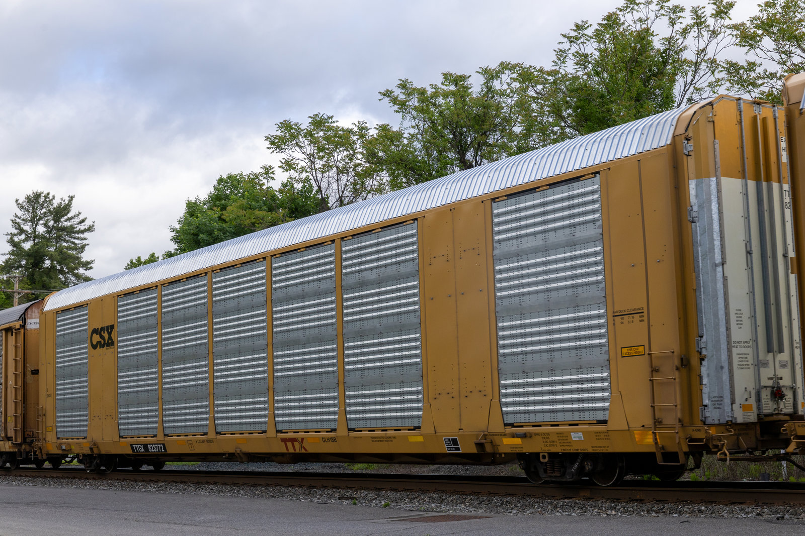 TTGX 823772