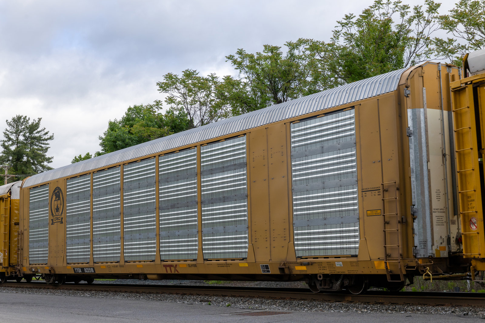 TTGX 822518