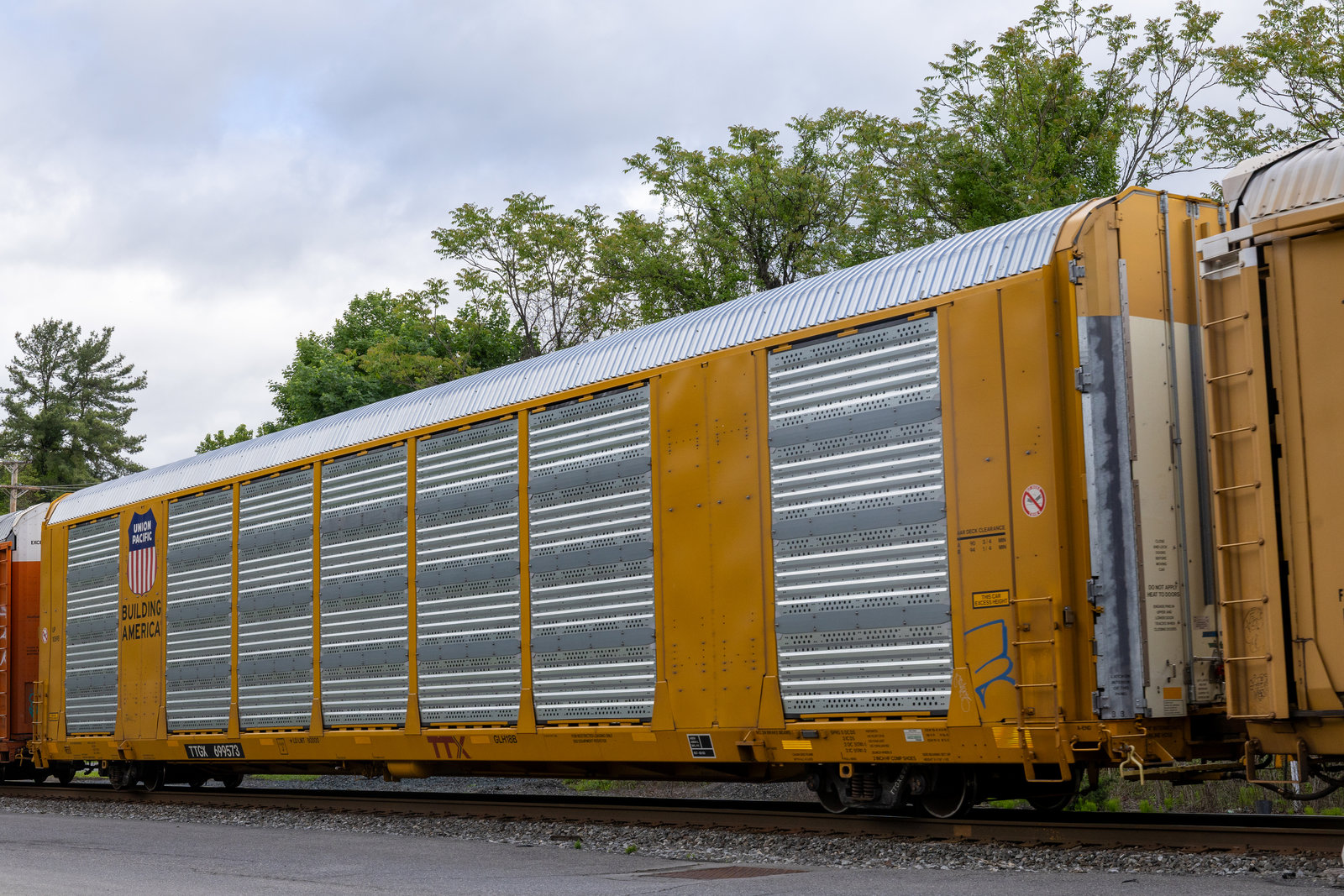 TTGX 699573