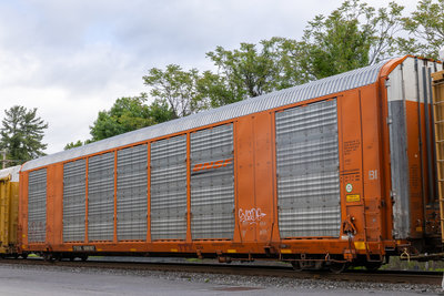 TTGX 696167