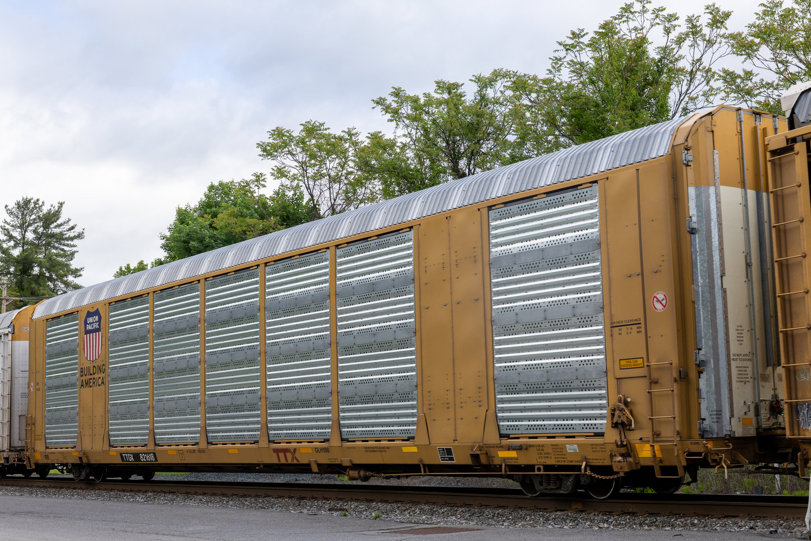 TTGX 821618