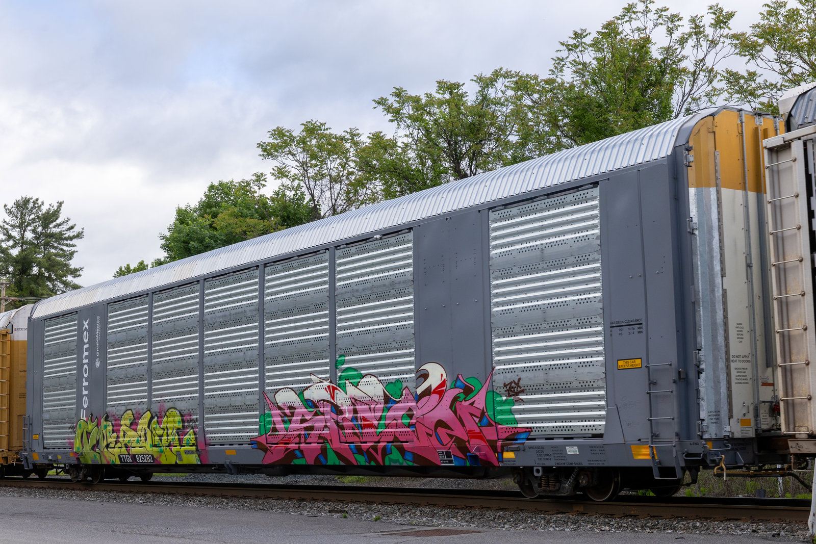 TTGX 825282