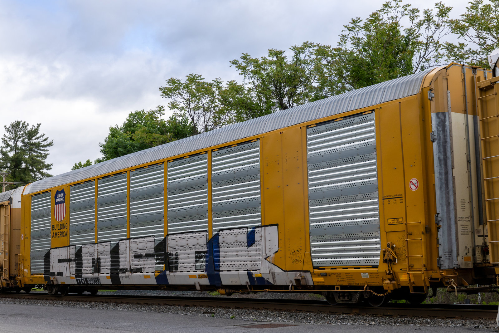TTGX 699233