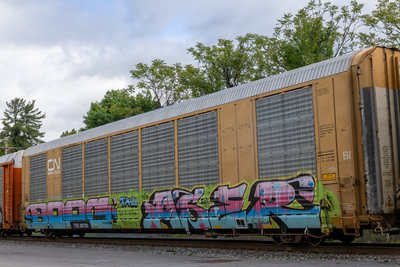 TTGX 695783