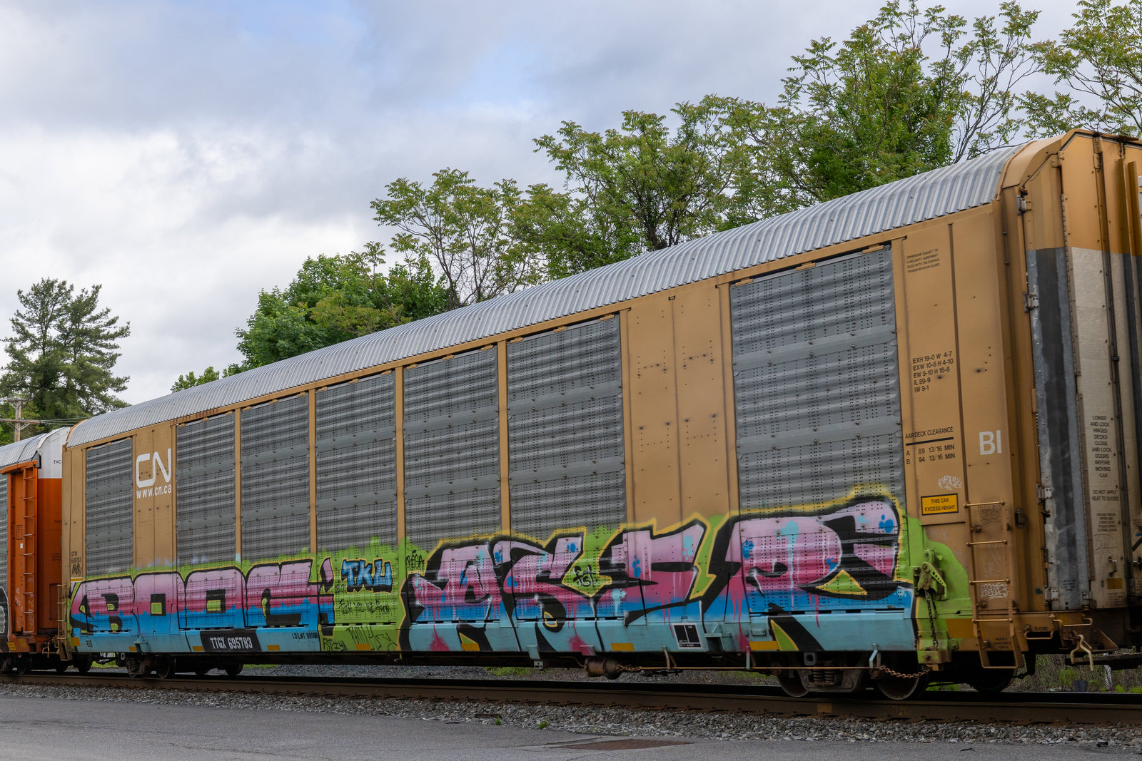 TTGX 695783