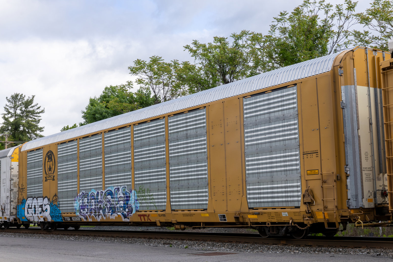 TTGX 822808