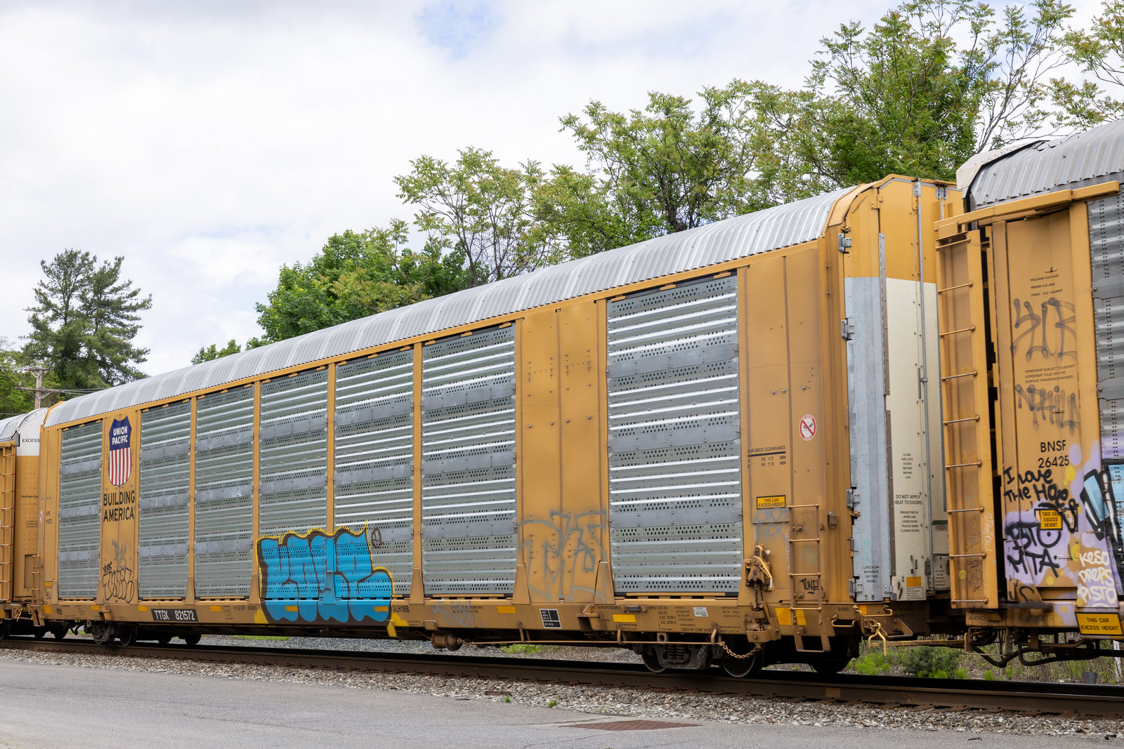 TTGX 821572