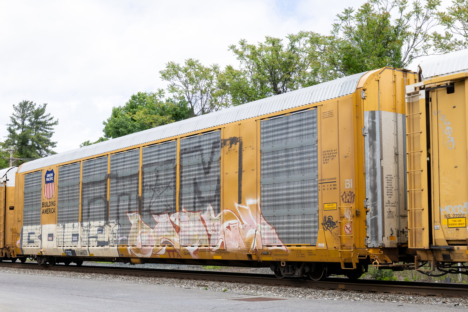 TTGX 697316