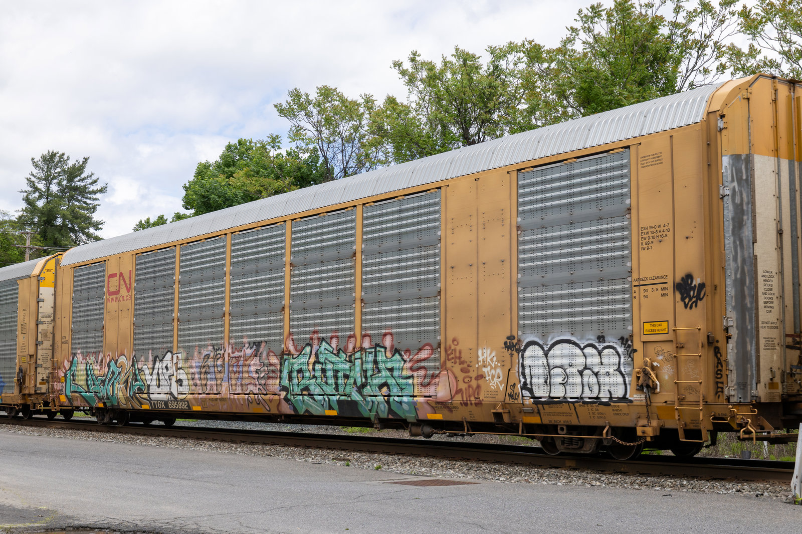 TTGX 695892