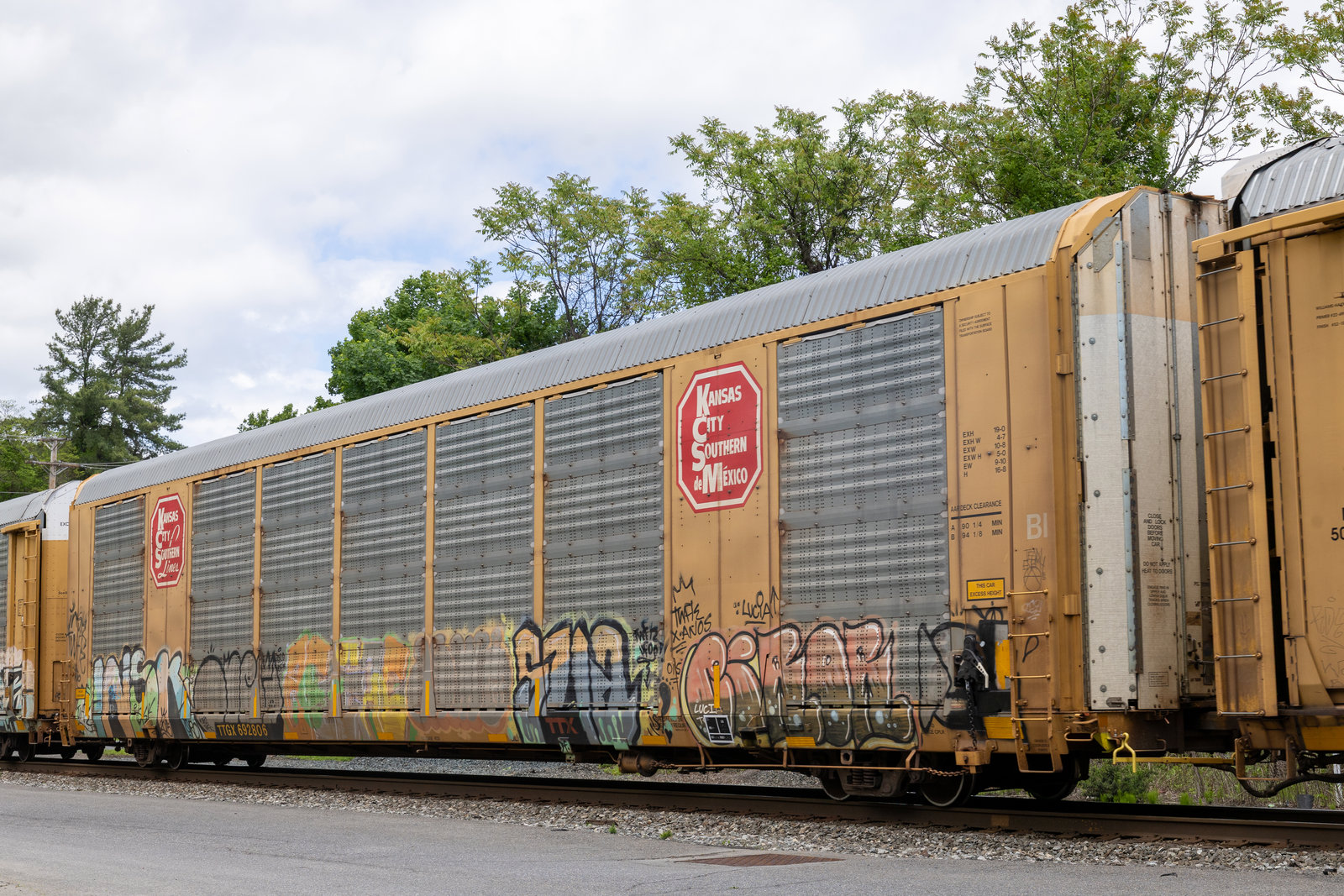 TTGX 692806
